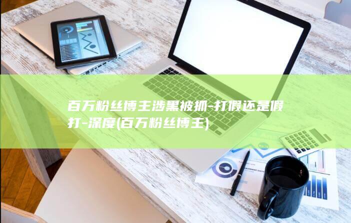 百万粉丝博主涉黑被抓-打假还是假打-深度 (百万粉丝博主)