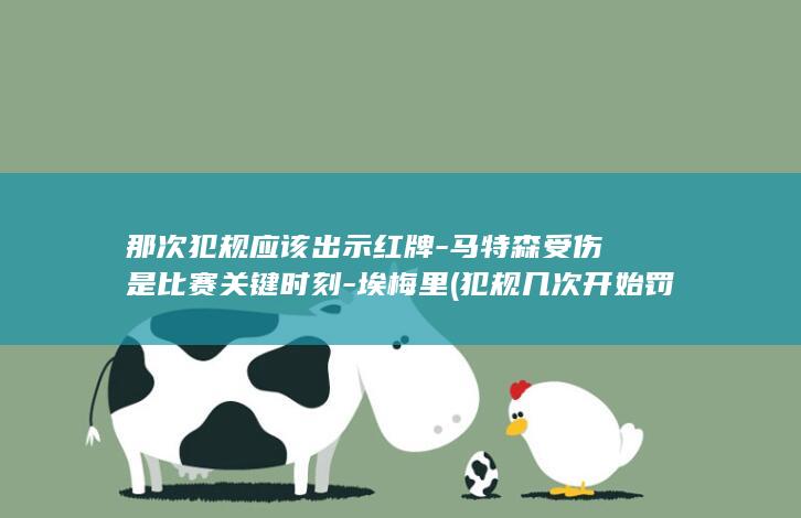 那次犯规应该出示红牌-马特森受伤是比赛关键时刻-埃梅里 (犯规几次开始罚下)