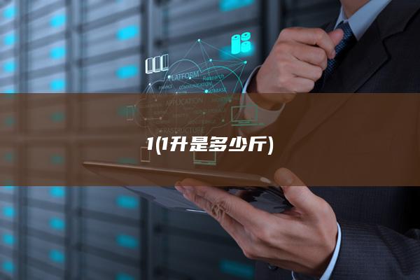 11升是多少斤