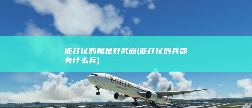 能打仗的就是好武器 (能打仗的兵都有什么兵)