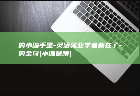 的小编手里-灵活就业学者栽在了-剪金句 (小编是啥)
