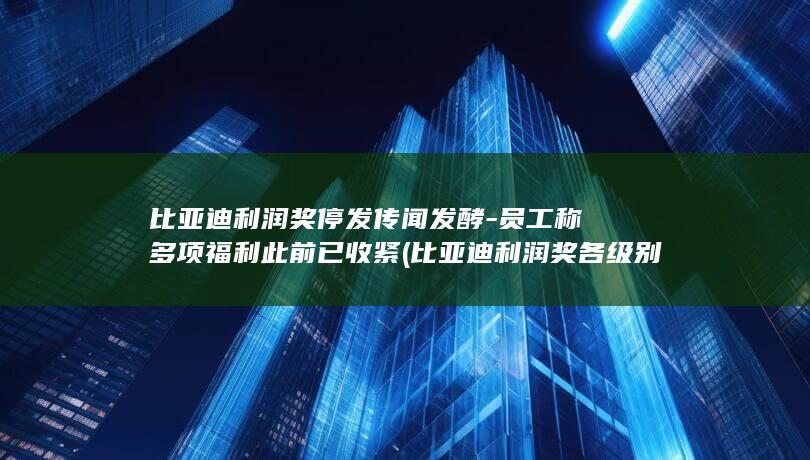 比亚迪利润奖停发传闻发酵-员工称多项福利此前已收紧 (比亚迪利润奖各级别分配比例)
