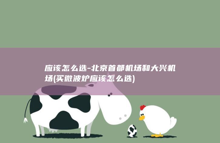 应该怎么选北京和大兴机场买微波炉应该