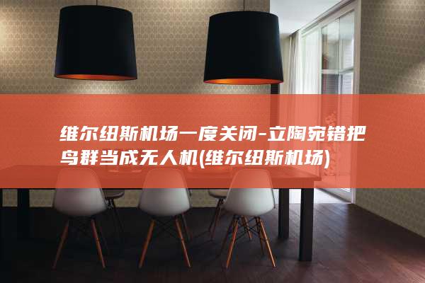 维尔纽斯机场一度关闭-立陶宛错把鸟群当成无人机 (维尔纽斯机场)