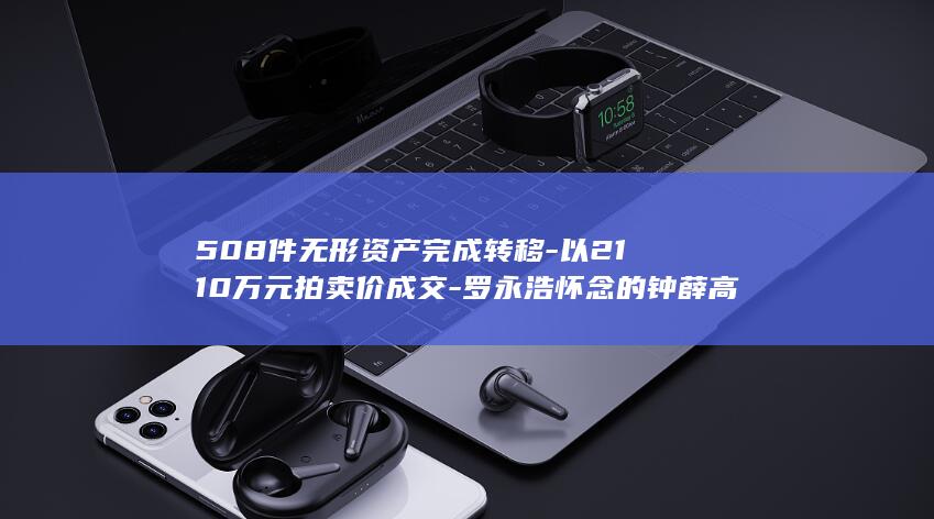 508件无形资产完成转移-以2110万元拍卖价成交-罗永浩怀念的钟薛高 (无形产品是什么意思)