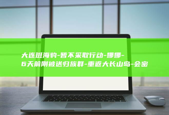 大连斑海豹-暂不采取行动-娜娜-6天前刚被送归族群-重返大长山岛-会密切观察-当地 (大连斑海豹)