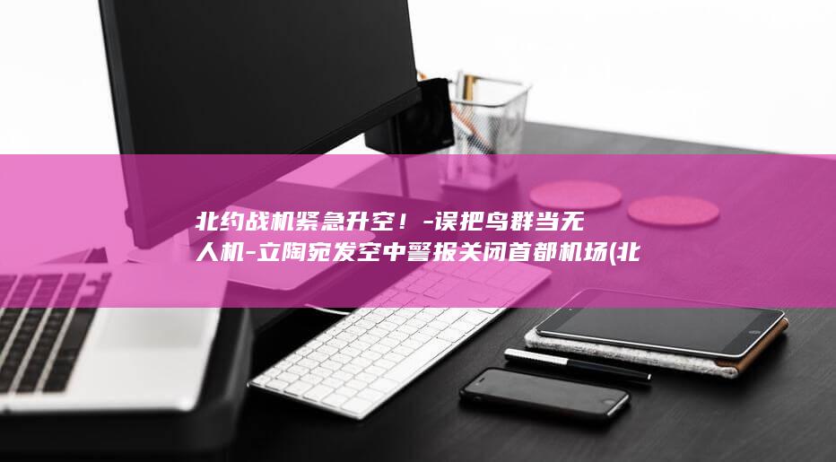 北约战机紧急升空！-误把鸟群当无人机-立陶宛发空中警报关闭首都机场 (北约战机闯入俄空识别区)