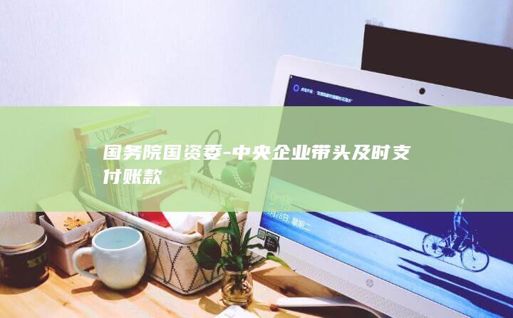 国务院国资委-中央企业带头及时支付账款