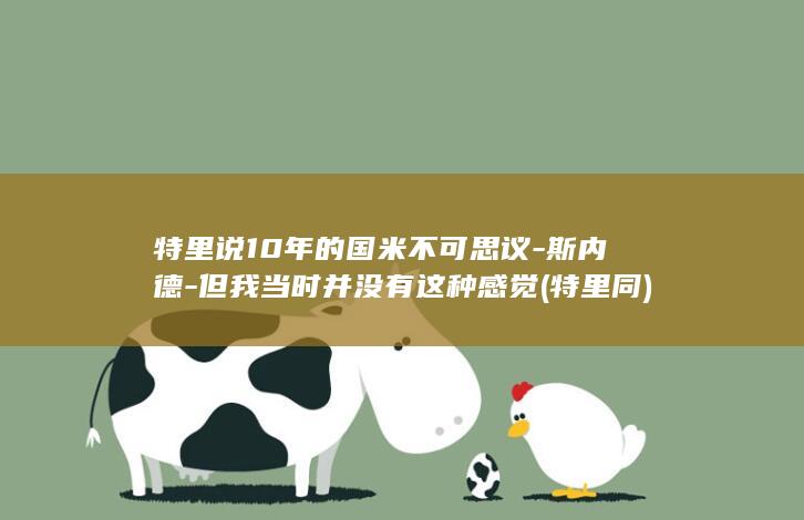 特里说10年的国米不可思议-斯内德-但我当时并没有这种感觉 (特里同)