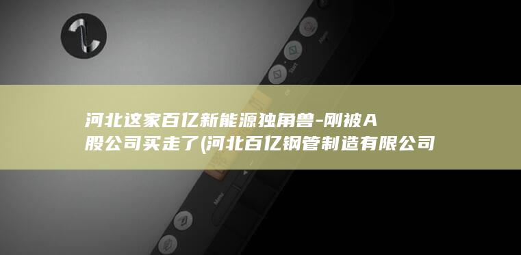 河北这家百亿新能源独角兽-刚被A股公司买走了 (河北百亿钢管制造有限公司)