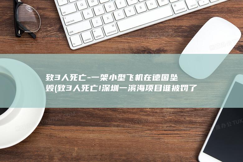 致3人死亡-一架小型飞机在德国坠毁 (致3人死亡!深圳一滨海项目谁被罚了呢?)