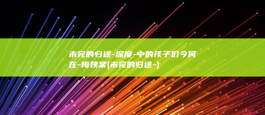 未完的归途-深度-中的孩子们今何在-梅姨案 (未完的归途-)