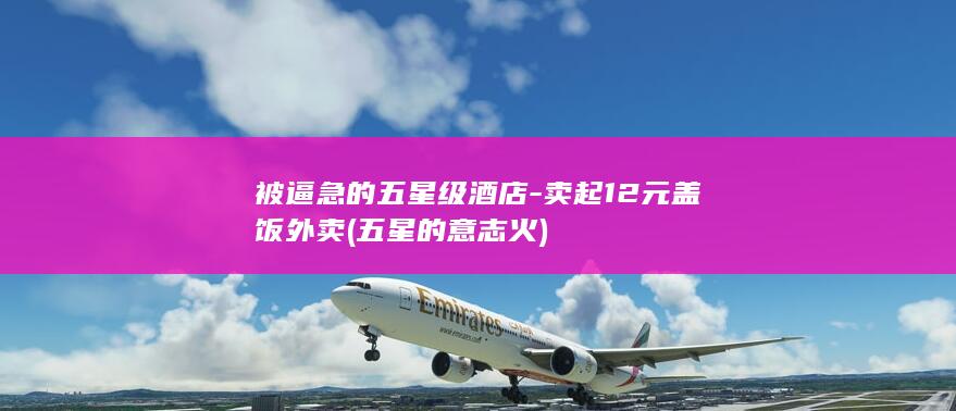 被逼急的五星级酒店卖起12元盖饭外卖五星的意志