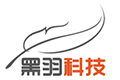 上海黑羽信息科技有限公司 - AI 智能化服务平台