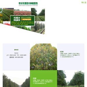 邻水县东源桂花苗木种植基地 邻水县东源桂花苗木种植基地
