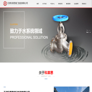 天津科莱思阀门制造有限公司