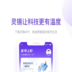 灵锡