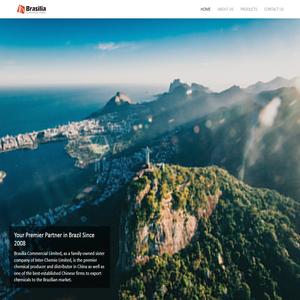 Brasilia Commercial Limited