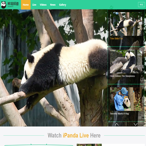 iPanda - Love & Panda!