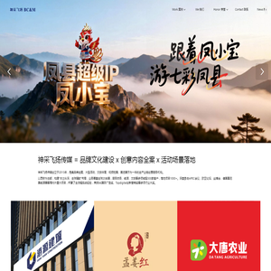 神采飞扬·创意中国 让中国品牌影响世界 -做品牌全案 找神采飞扬