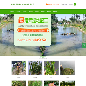 安新县硕美水生植物销售有限公司