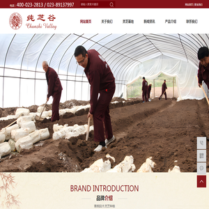 网站首页-重庆市长寿区纯芝谷灵芝有限公司