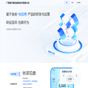 广西南宁盈利信息技术有限公司