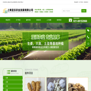 上海宝沃农业发展有限公司