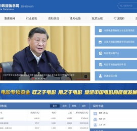 中国电影数据信息网