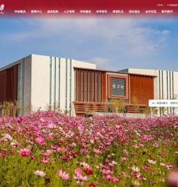 新疆大学