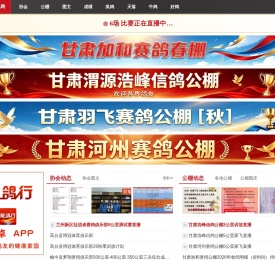 甘肃信鸽网-甘肃最大的信鸽网站