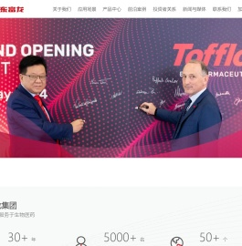 东富龙科技集团股份有限公司
