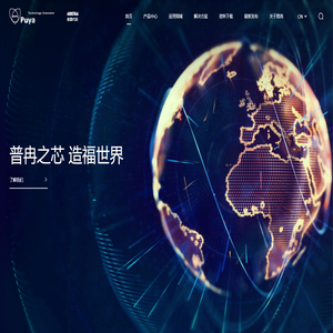 普冉半导体（上海）股份有限公司