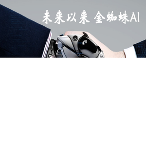 金蜘蛛智能网络