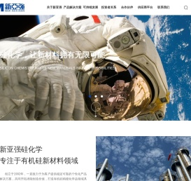 新亚强硅化学股份有限公司