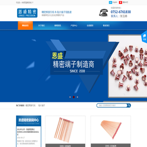 惠州市恩盛精密电子有限公司