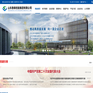 山东鲁泰控股集团有限公司
