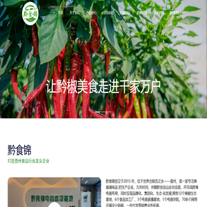 黔食锦官网-贵州蘸料 贵州煳辣椒面 贵州烧烤辣椒面    调味品