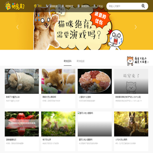 萌宠来了