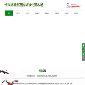 榉树/香樟/无患子/乌桕/红梅种植基地批发供应商|浙江长兴全友绿化苗木场