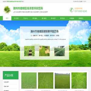 滁州百慕大草坪-滁州南谯区龙马草坪苗木园艺场
