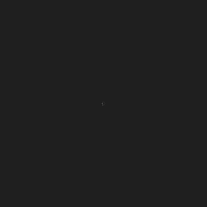启明星网站建・厦门网站建设/网站开发/网站设计