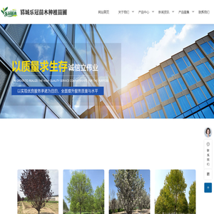 国槐-白蜡-法桐-郓城乐冠苗木种植苗圃（个体工商户）