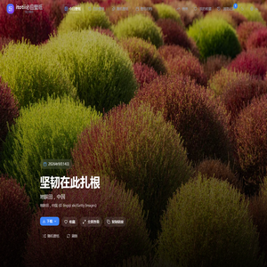 必应壁纸 - 每日高清壁纸自动更新 | Bing Wallpaper