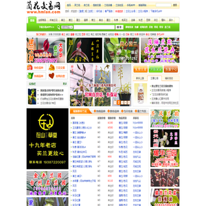 中国兰花交易网 － 兰花拍卖,中兰网,兰草交易,兰花图片,了解中国兰花尽在本兰花网