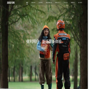 淘宝闪购