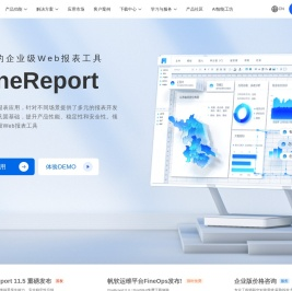 FineReport报表工具 - 专业的企业级Web报表软件