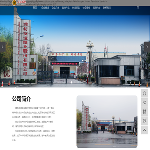 潍坊友谊纸业股份有限公司