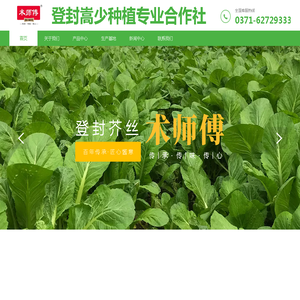 登封嵩少种植专业合作社