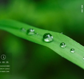 二十四节气网-起始页
